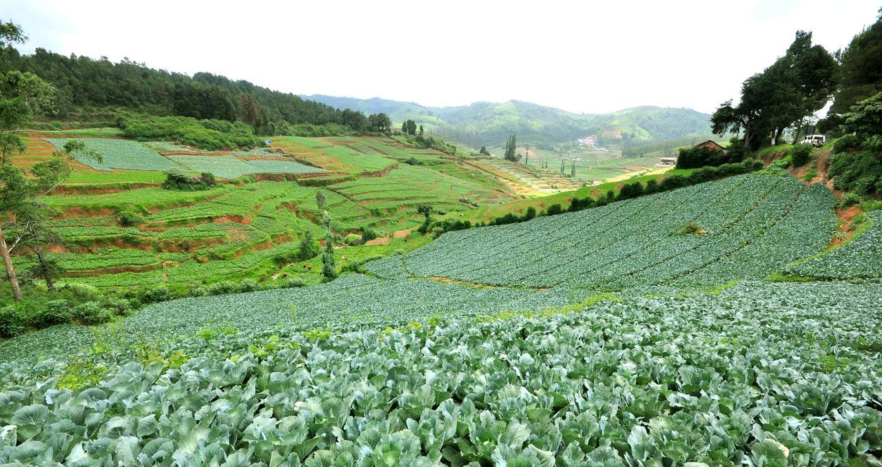 Hotel City Palace Ooty Ngoại thất bức ảnh